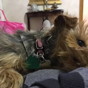 Meet your Posher, Alex